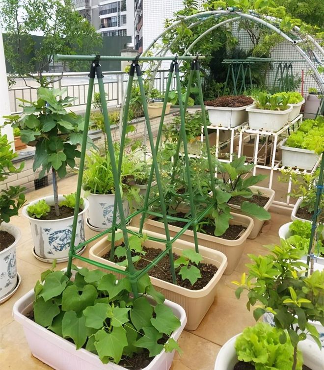 有钱人住顶楼为何不怕冬冷夏热？这种设计首次见实用至极！(图3)
