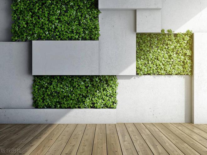 kaiyun网站：除了贴瓷砖农村自建房还可以怎样装饰外墙？(图6)