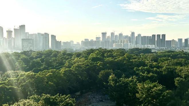 发布：2024最新南山天源华府房价多少备案单价约99-131万(图9)