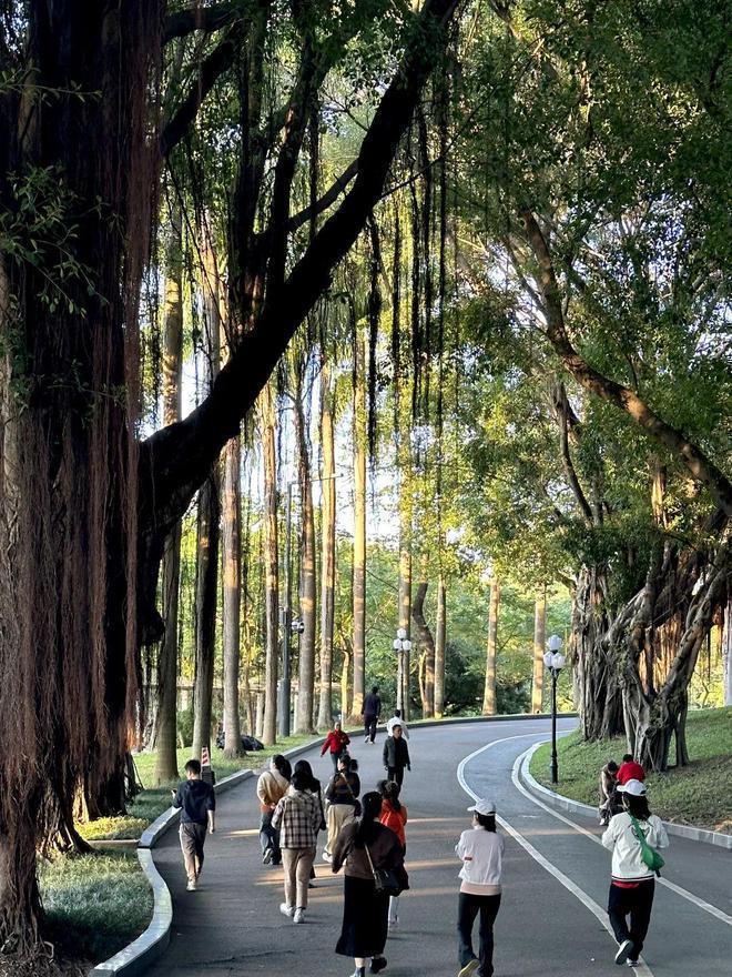 发布：2024最新南山天源华府房价多少备案单价约99-131万(图13)