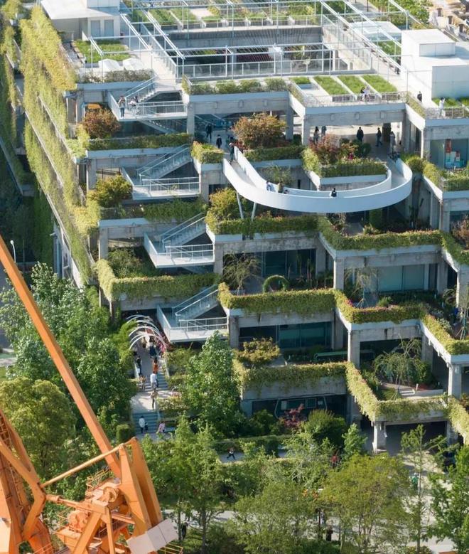 “风自海上”特展：看近百位建筑师作品里的美学与历史(图6)