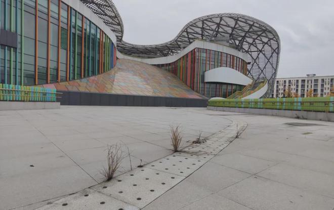 重庆园博园神秘地标建筑建成多年仍未投入使用现场野草丛生(图23)