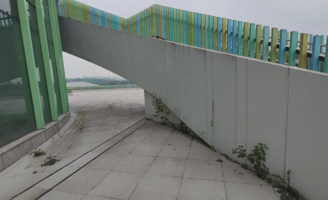 重庆园博园神秘地标建筑建成多年仍未投入使用现场野草丛生(图22)