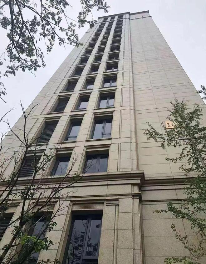 你家小区什么档次看外墙装饰材料就知道了七八年后差距更明显(图11)