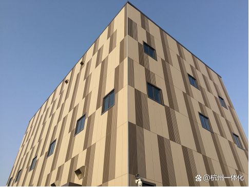 “别墅外墙装饰”怎么选择？(图5)