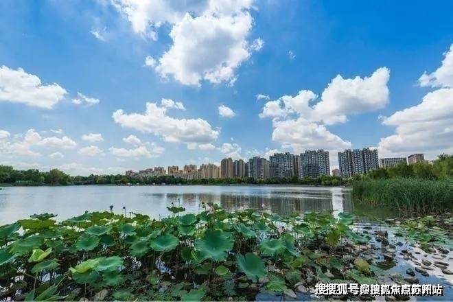 虹桥璀璨领峯(虹桥璀璨领峯2025年最新发布)-物业口碑销售热线促销活动升值空间(图2)
