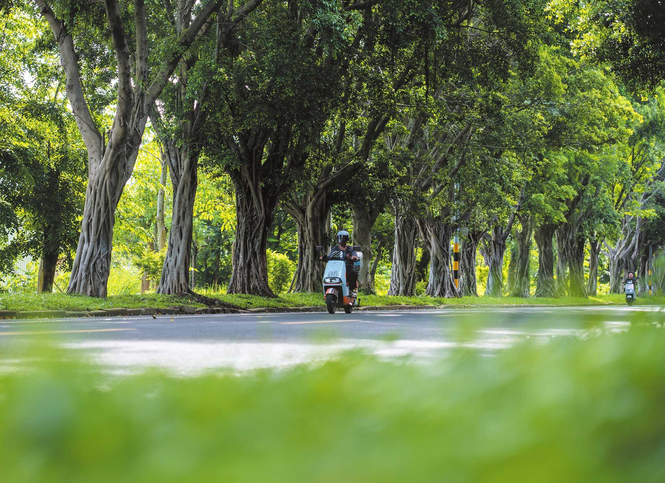 kaiyun网站：打出空间再造、生态屏障与科技赋能的“组合拳”建清凉城市海口有“秘方”(图3)