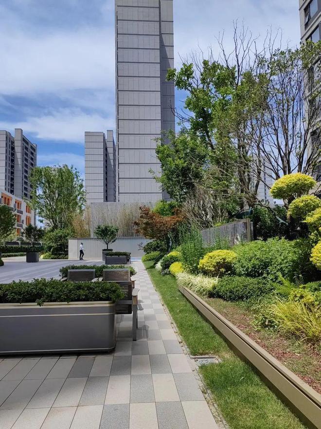 kaiyun入口：把“500万预算”留在上海——「虹桥璀璨领峯」配套全维深解(图3)