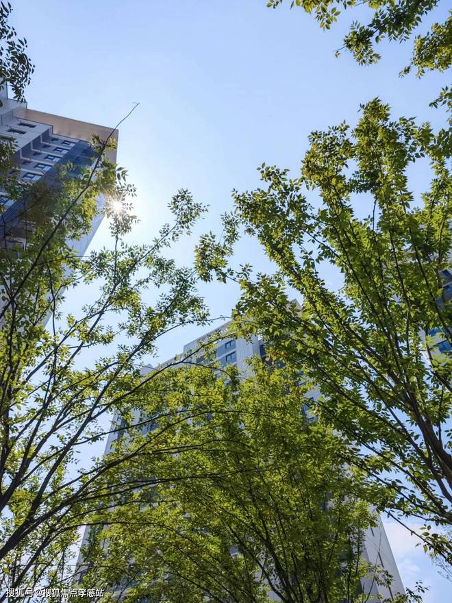 kaiyun网站：中建玖海云天：户型精研与精装细节打造临港科创芯舒适家(图8)