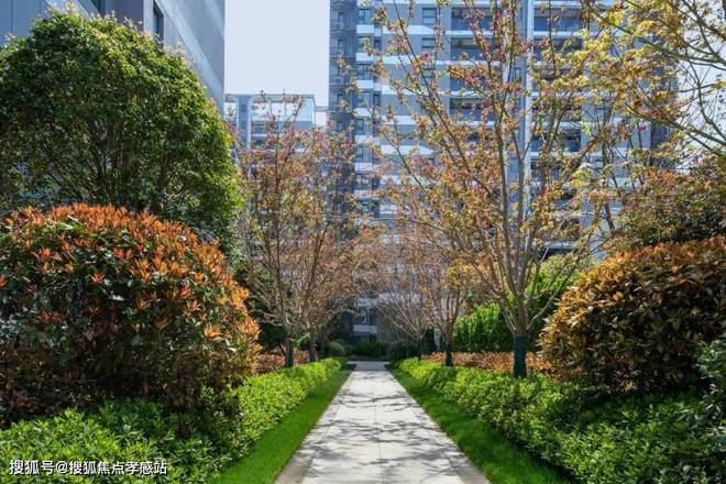 kaiyun网站：中建玖海云天：户型精研与精装细节打造临港科创芯舒适家(图10)