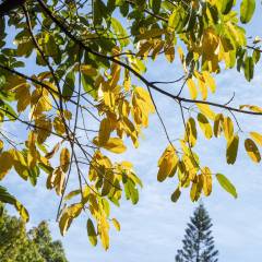 2024年外墙装修专业学什么(图4)