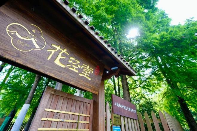 kaiyun：沪郊乡遇：从“宿一夜”到“品生活”(图4)