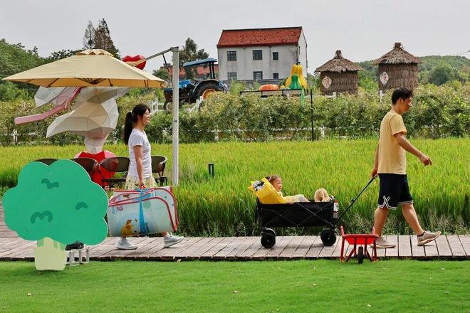 kaiyun：沪郊乡遇：从“宿一夜”到“品生活”(图7)