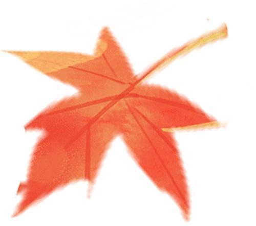 kaiyun：沪郊乡遇：从“宿一夜”到“品生活”(图9)