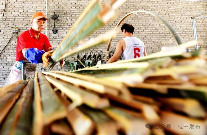 kaiyun：竹”够精彩“茶”有乾坤——咸宁特色产业链建设纪略(图3)