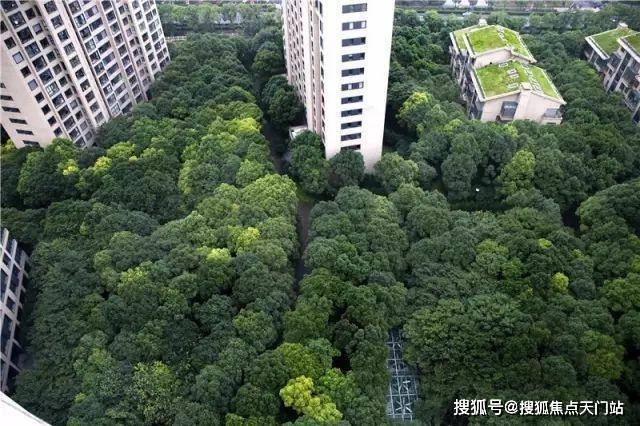 中鹰黑森林(售楼处)网站-中鹰黑森林销售中心(营销中心)-欢迎您-小区环境-户型-价格-地址配套售楼处电话-交房时间(图2)