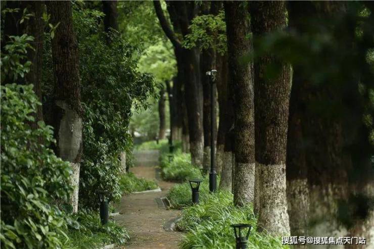 中鹰黑森林(售楼处)网站-中鹰黑森林销售中心(营销中心)-欢迎您-小区环境-户型-价格-地址配套售楼处电话-交房时间(图5)