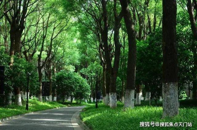 中鹰黑森林(售楼处)网站-中鹰黑森林销售中心(营销中心)-欢迎您-小区环境-户型-价格-地址配套售楼处电话-交房时间(图32)