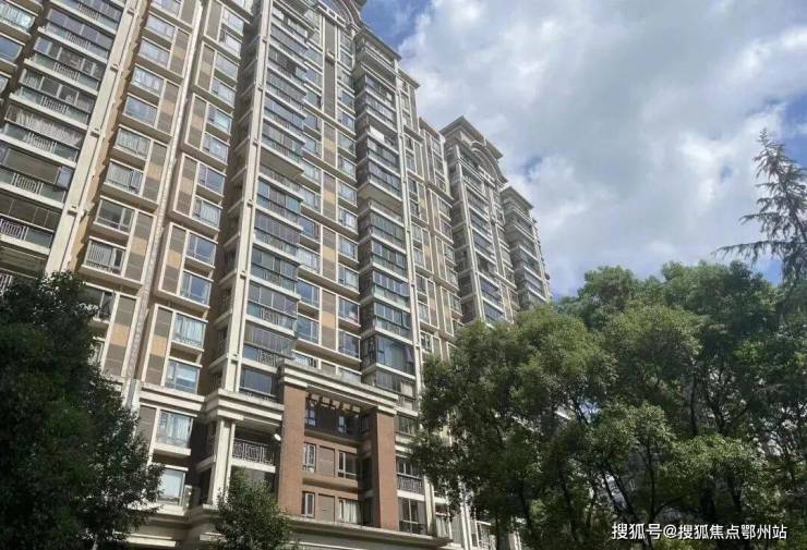 金色贝拉维售楼处电话金色贝拉维网站售楼中心电线楼盘百科楼盘网站测评中心电话百科详情(图8)