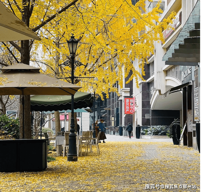 金色贝拉维售楼处电话金色贝拉维网站售楼中心电线楼盘百科楼盘网站测评中心电话百科详情(图10)