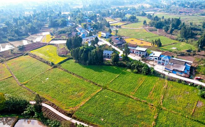 四川营山：奋力冲刺四季度!全域攻坚绘就发展“满堂红”(图2)