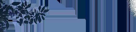 辟筑125周年一起来逛逛淮海中路上的这些焕新地标(图4)