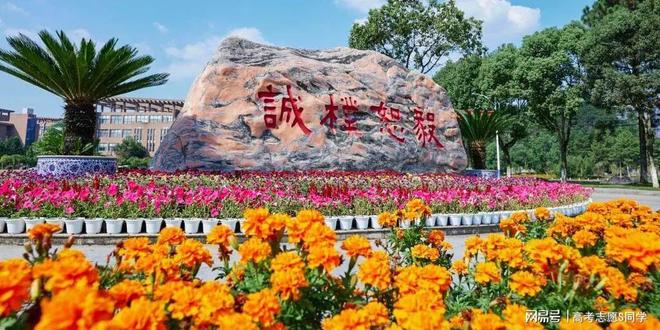 景德镇陶瓷大学就业怎么样？瓷引未来打造“陶大”品牌硬实力！(图3)