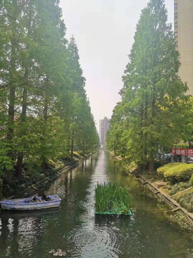 古北99认证售楼处电线售楼处-楼盘价格户型地址电话环境配套交房时间电话(图13)