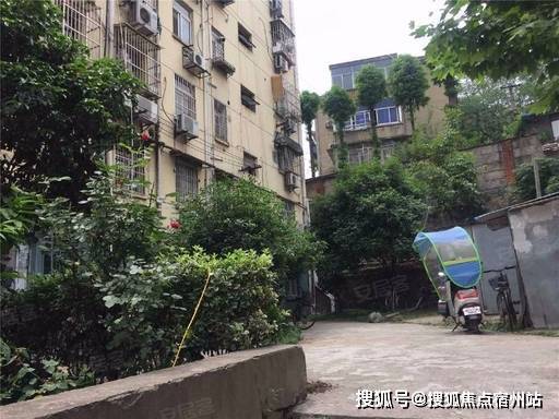 ✨上海安德里｜内环滨江藏品级墅区国企匠筑高端人居新标杆！(图6)