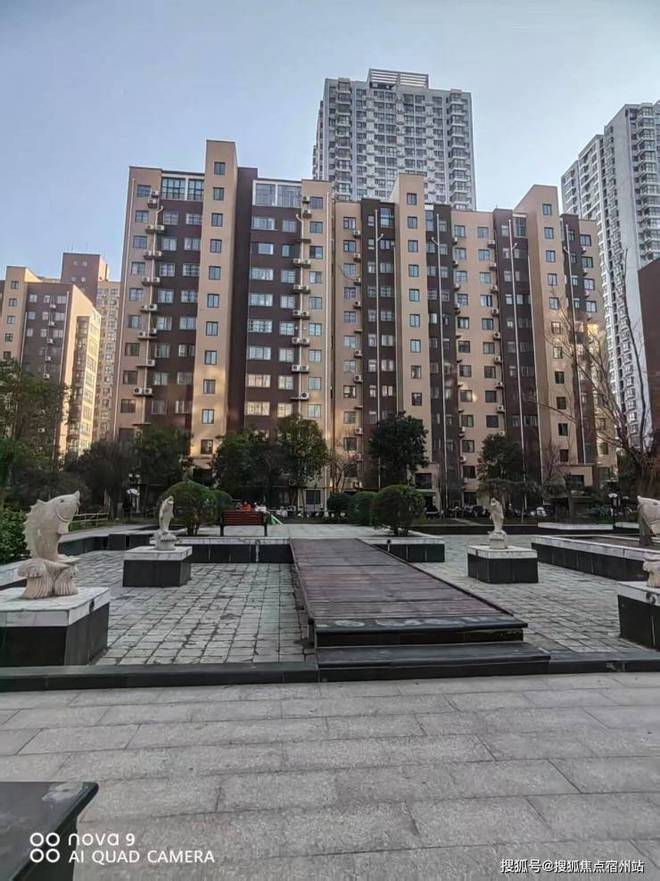 ✨上海安德里｜内环滨江藏品级墅区国企匠筑高端人居新标杆！(图8)