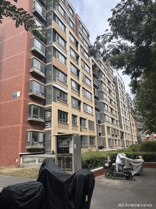 ✨上海安德里｜内环滨江藏品级墅区国企匠筑高端人居新标杆！(图9)